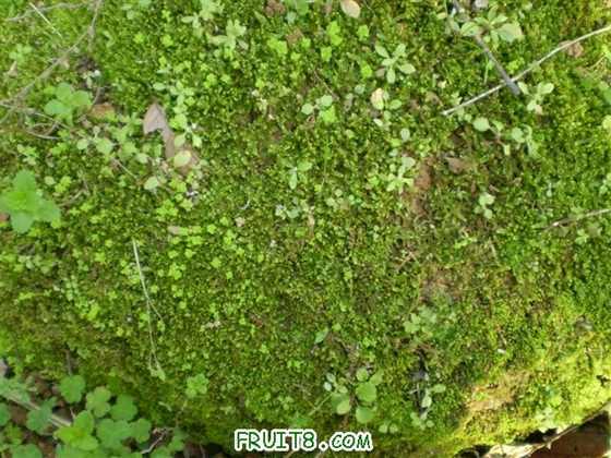 P2200037 (С��).JPG