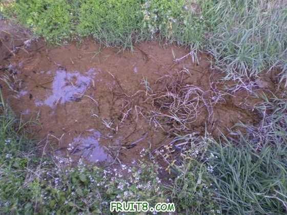 P2200034 (С��).JPG