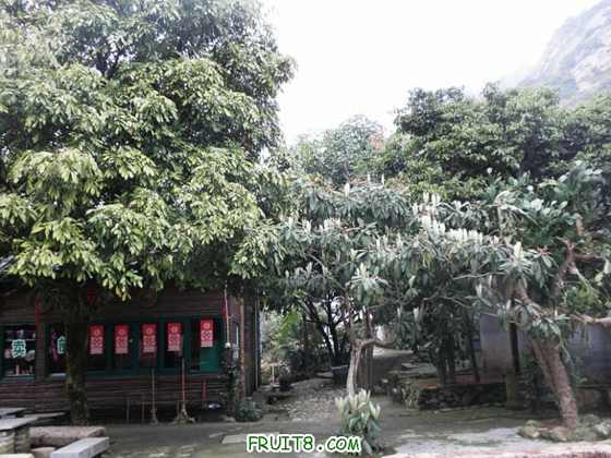 P2181910.JPG