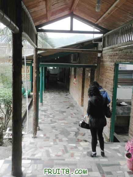 P2182014.JPG