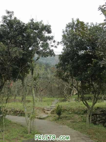 P2182260.JPG