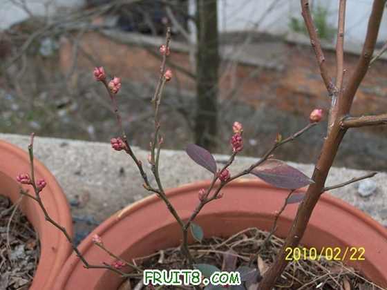 100_7864a.JPG