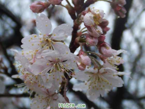 DSCF1715_.JPG
