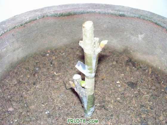 100_2566.JPG