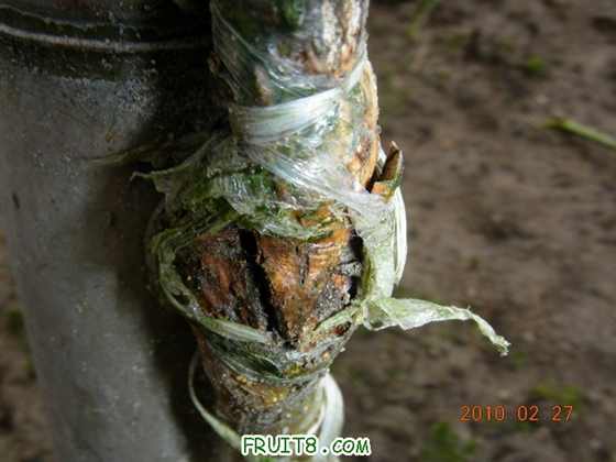 DSCN6087.JPG