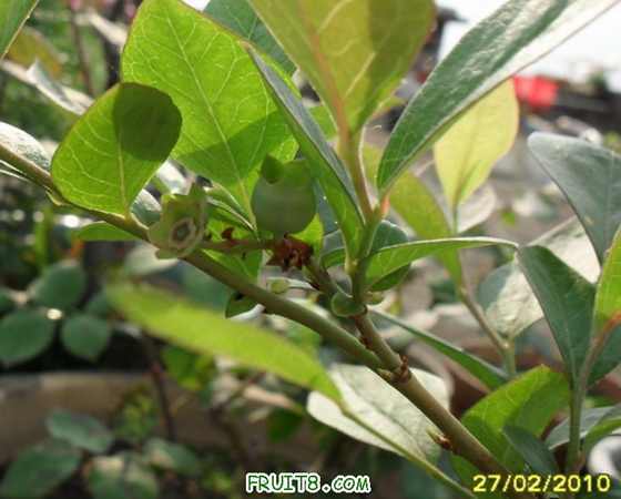 �����ȥ�˿������������