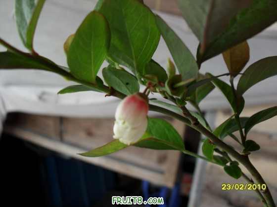 ����һ�亣����С��