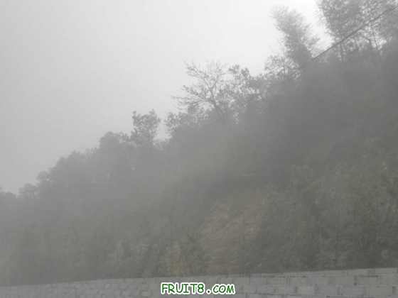 P2273662.JPG