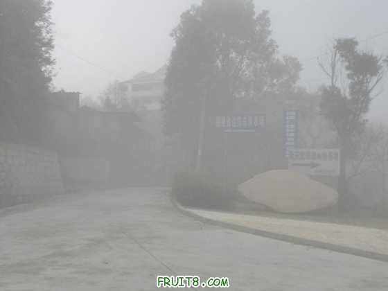 P2273664.JPG