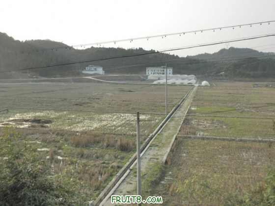 P2274122.JPG
