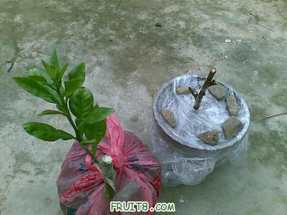 20100228.jpg