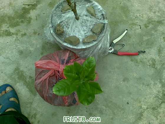 20100228_005.jpg