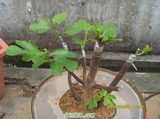 ������С SI854330.jpg