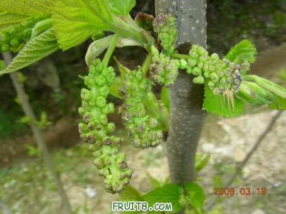 DSCN3515.JPG