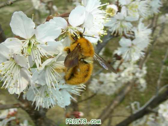 Dscn03150119.JPG