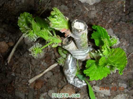 DSCN6270.JPG