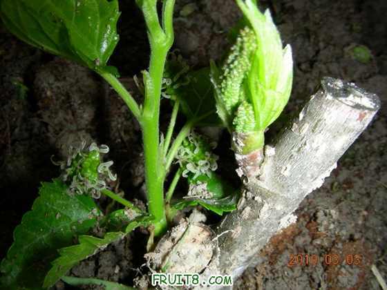 DSCN6276.JPG