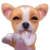 δ2.gif