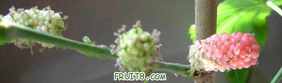 DSCN4493.JPG