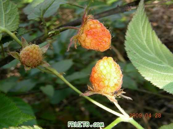 DSCN5661.JPG