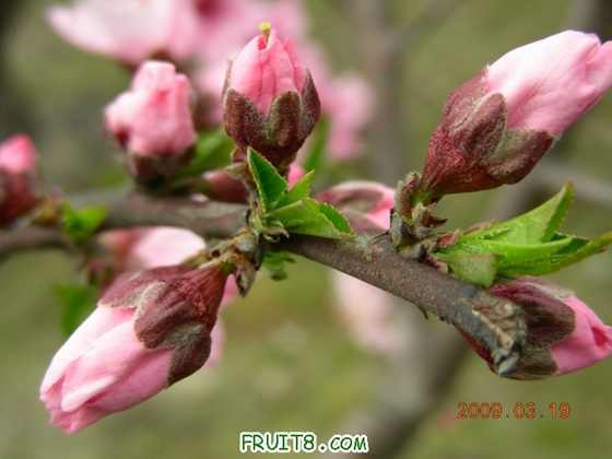 DSCN3492.JPG
