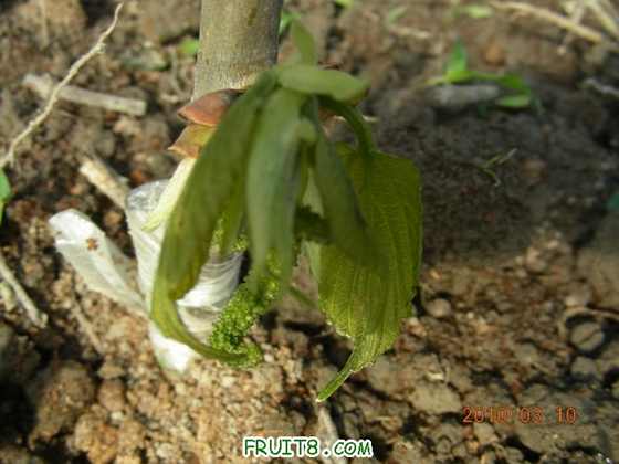 DSCN6654.JPG