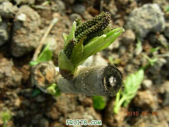 DSCN6665.JPG