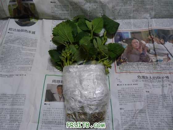 P1030530 (С).JPG