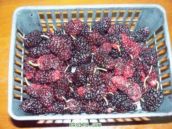 100_2577.JPG