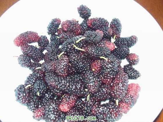 100_2579.JPG