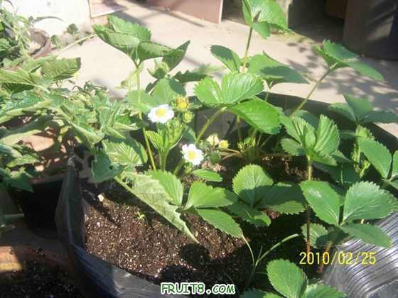 ������С 100_9002.JPG