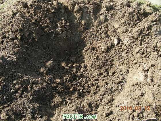 DSCN6776.JPG