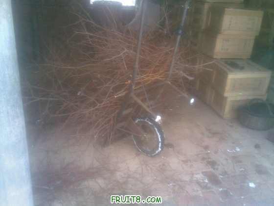 20100314(004).jpg