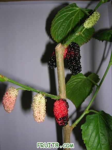 DSCN4622.JPG