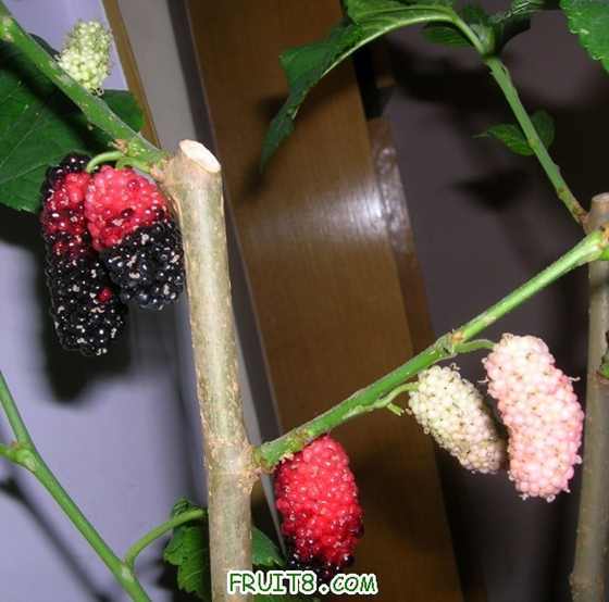 DSCN4633.JPG