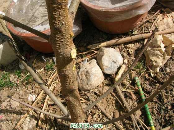 DSCN4646_С.JPG