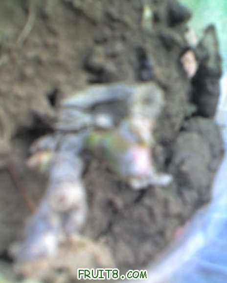 moto_0220.jpg
