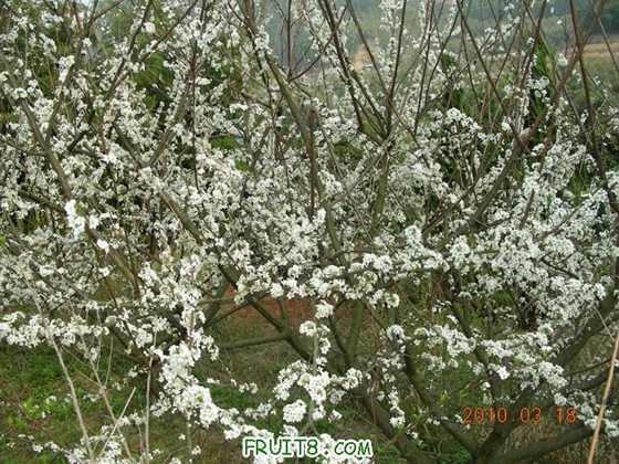 DSCN7281.JPG
