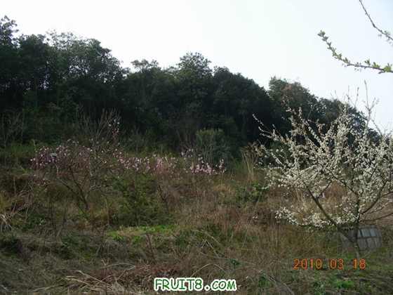DSCN7283.JPG