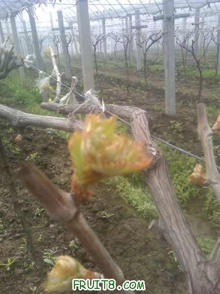 18-03-10_1112.jpg