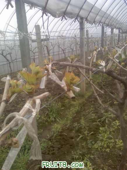20-03-10_1009.jpg