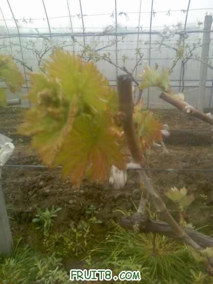 22-03-10_1551.jpg