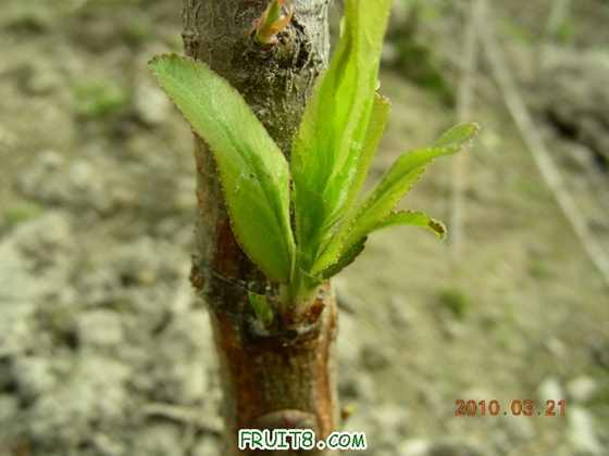 DSCN7338.JPG