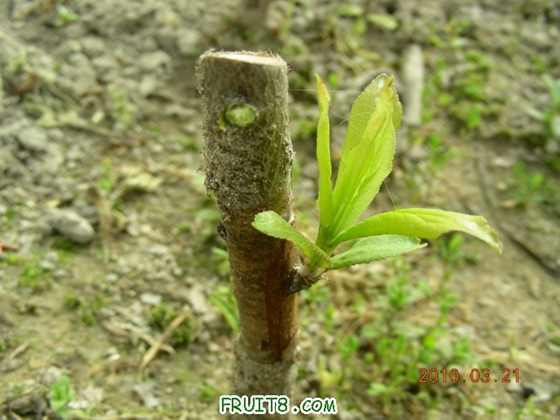 DSCN7339.JPG