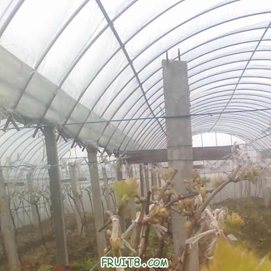 20-03-10_1010.jpg