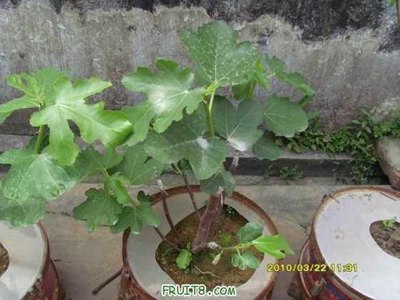 ������С SI854868.JPG