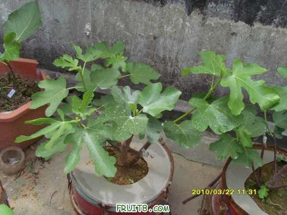 ������С SI854869.JPG