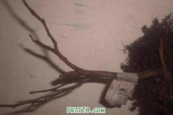 ��ϧ�����Ѿ�û�л�ļ�����