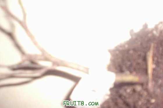 ���ã����������ڵĲ�λ��������һ��ʱ���Ѿ���ȥ�˵�