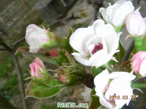 DSCN7403.JPG